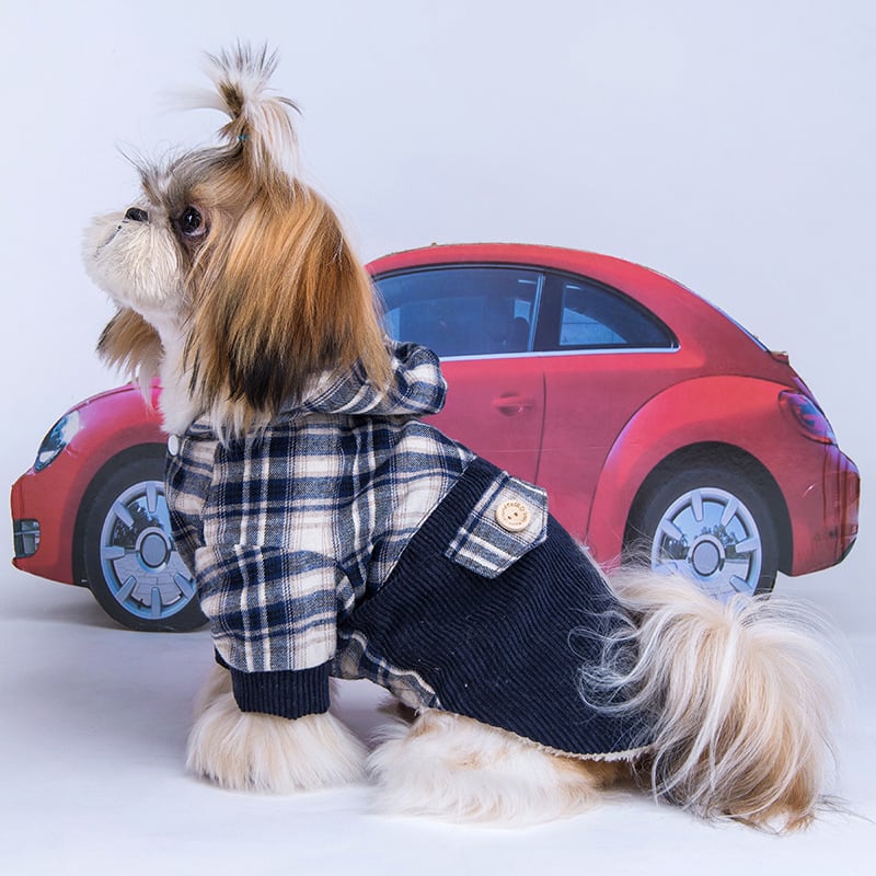 Abrigo de Cachemira Teddy VIP Pomeranian para Perros Pequeños Muy Tierno